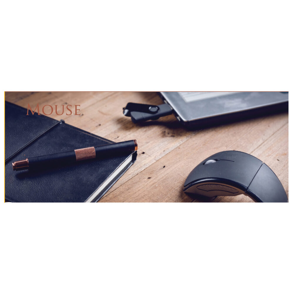 موس کامپیوتر MO-010