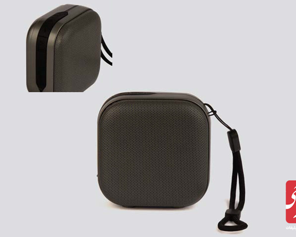 اسپیکر طوسی کوچک کد 51370